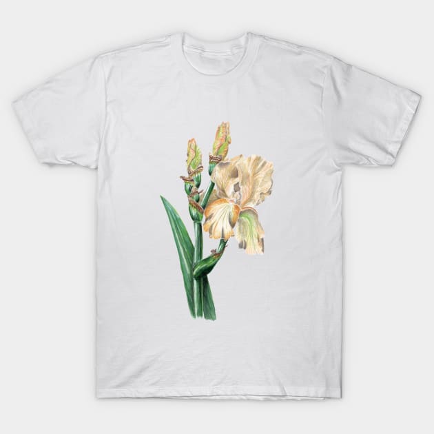 Iris T-Shirt by feafox92